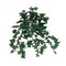 13" Mini English Ivy Bush (2-Pack) 176 Silk Leaves | Lush Faux Greenery by Floral Home